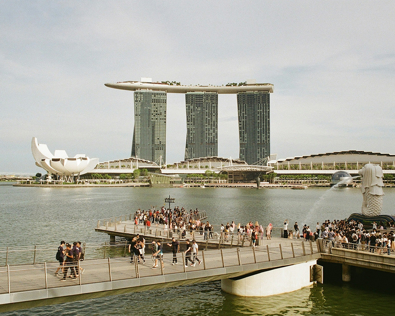 Tourist_Transport_Services.jpg